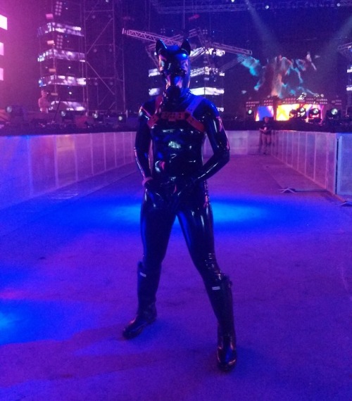 rubberforfun:When cage is unlock. Dog go to party !!!...