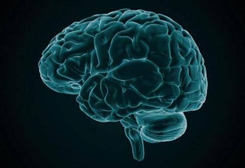 neurosciencestuff:Invading the brain to understand and repair...
