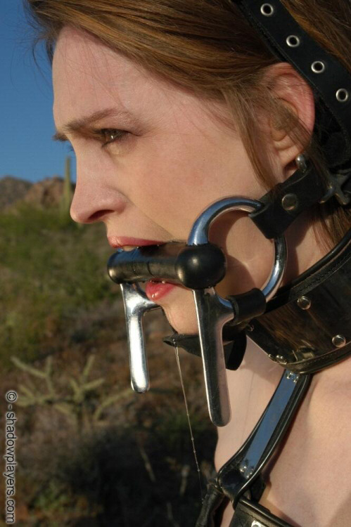 bondage-ponygirls-and-more - Pony girl Tracey Hilton in...