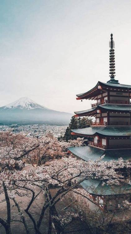 adventure-heart - Visit Japan the next year. 