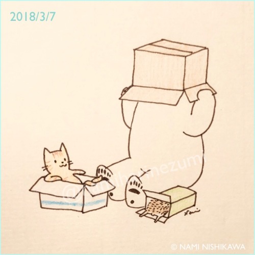namiharinezumi - 1434 箱は入るものboxesThe kitty is very glad it’s...