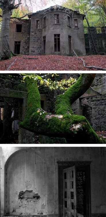 congenitaldisease - This abandoned mansion is located deep in the...