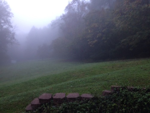 The fog around the woods make it look like I live in a horror...