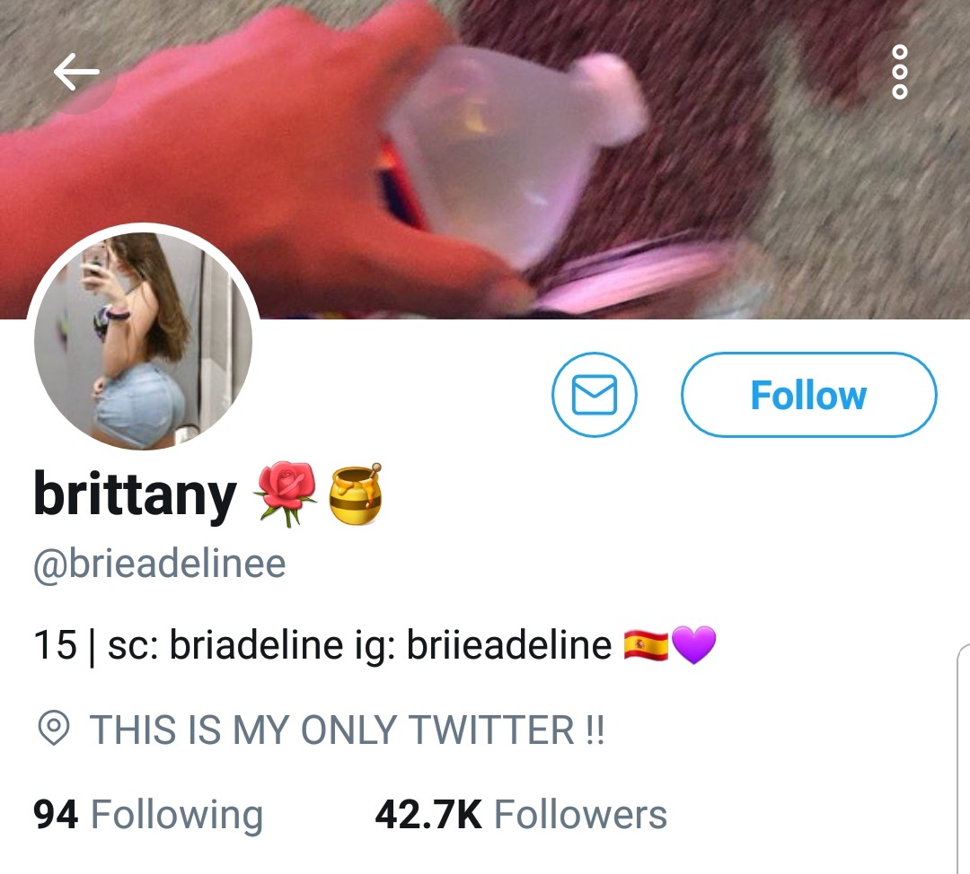 Brittany adeline twitter
