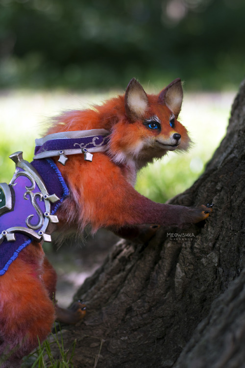 miaushka - Reins of the Llothien Prowler Fox from World of...