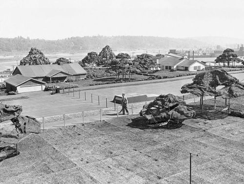 vintageeveryday - In World War II, Boeing built a fake rooftop...