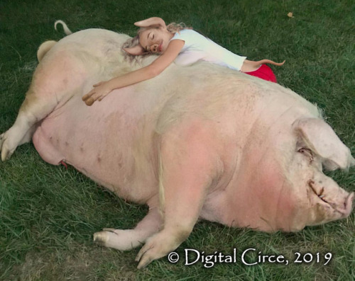 Made for Each Other(woman to pig transformation)One soul in two...