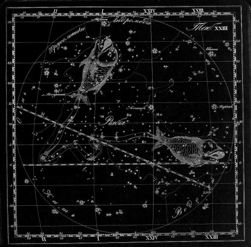 chaosophia218 - Kornelius Reissig - Constellations, “Sozviezdiia...