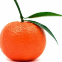 blog logo of beautiful-tangerine2 (over 140k followers)
