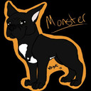 blog logo of omg puppy's