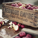 blog logo of REDWOOD EMPIRE
