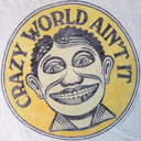 blog logo of Crazy World Ain't It