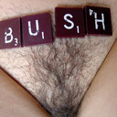 blog logo of No bush,no service.