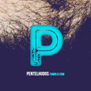 blog logo of PENTELHUDOS