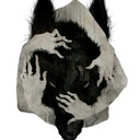 blog logo of the darkblood of wolves..