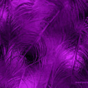 blog logo of purplehorse99