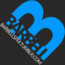 blog logo of BarbellSFM