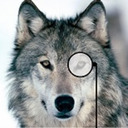 blog logo of Wolf W/ A Monocle