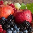 blog logo of Apples & Berries