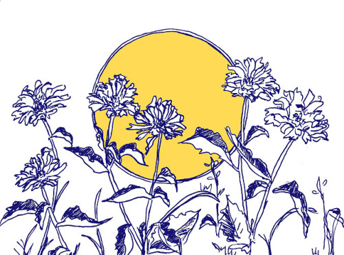 julykings:summer blooms version 2 by adam b.patreon - version 1