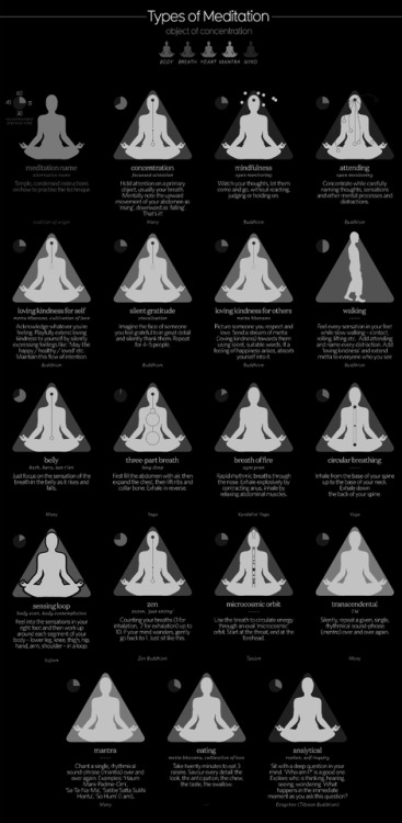 chaosophia218 - Meditation Infographic.