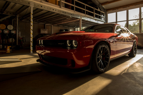 itcars - Dodge Challenger SRT Hellcat Image by Nik Roth