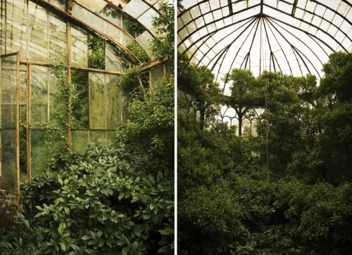 bestabandoned:Martino Zegwaard - Abandoned greenhouse in...