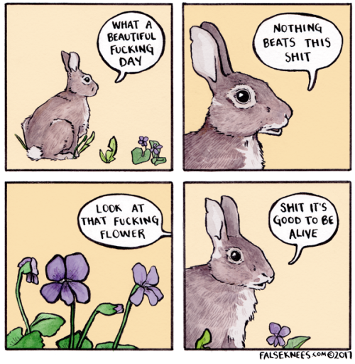 wittlebittycrybaby - Aggressively positive bunny