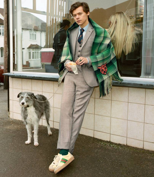 trends4men - What about this latest editorial with Harry Styles...
