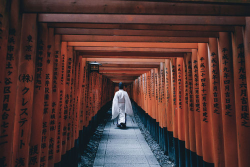 boredpanda - Japanese Photographer Documents The Beauty Of...