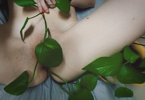 carnal-prince:I probably traumatized my houseplant for these...