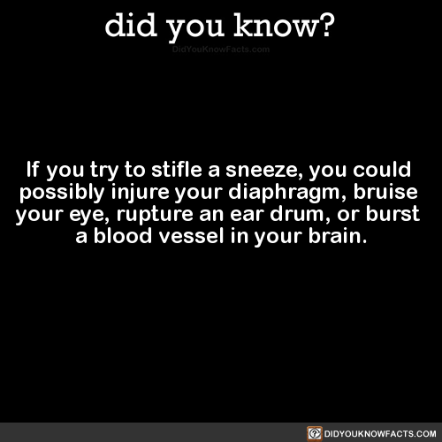 did-you-kno:If you try to stifle a sneeze, you could possibly...