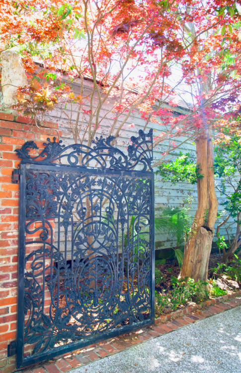 kathifee-world - hueandeyephotography - Ornate Gate, Charleston,...