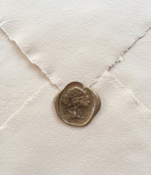 mactevirtute - Lauren PolidoroThe envelope containing the letter...