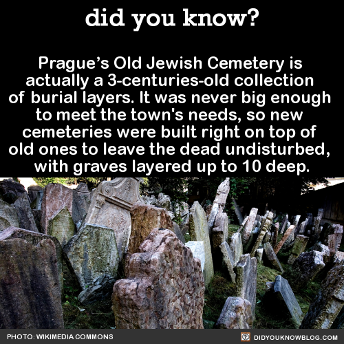 did-you-kno-pragues-old-jewish-cemetery-is