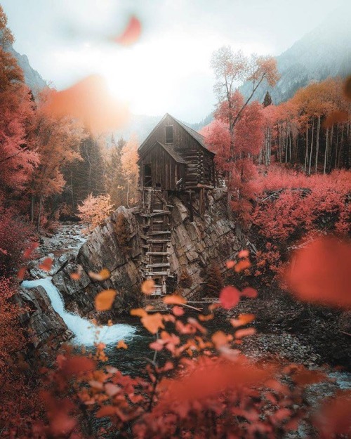 autumn-fireside:Ivan Wong