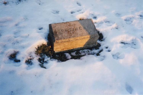 congenitaldisease - A gravestone in The State of Ohio Asylum for...