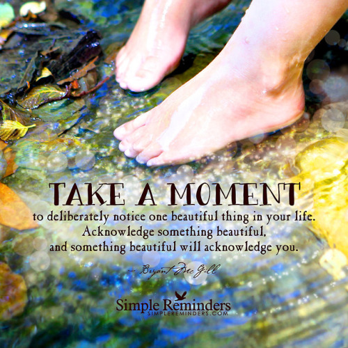mysimplereminders - Take a moment to deliberately notice one...