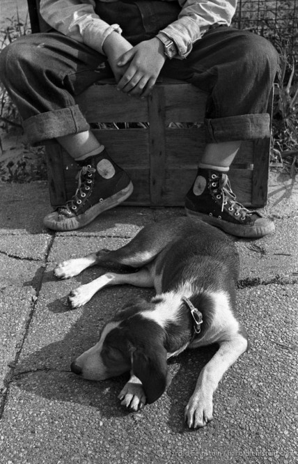 killerbeesting:Harold Feinstein, A Boy and His Dog, 1950