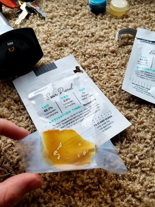 stoned-adventurer - Sour Diesel and Berry Blues // shatter