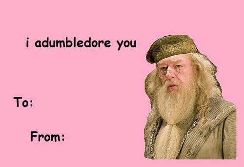 Výsledok vyhľadávania obrázkov pre dopyt dumbledore valentines