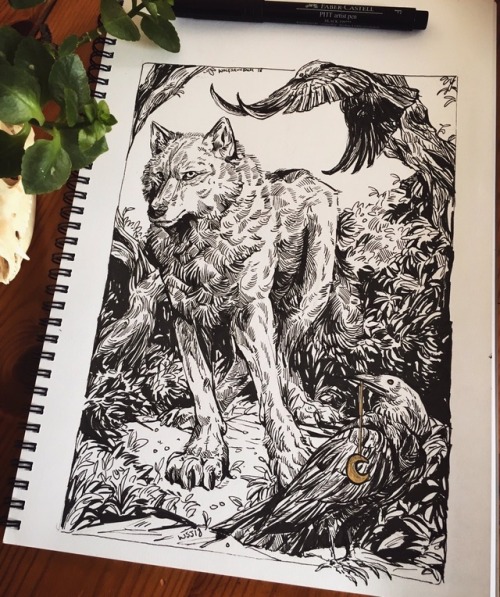 wolfskulljack - Top drawing- a Patreon reward sketch that got way...