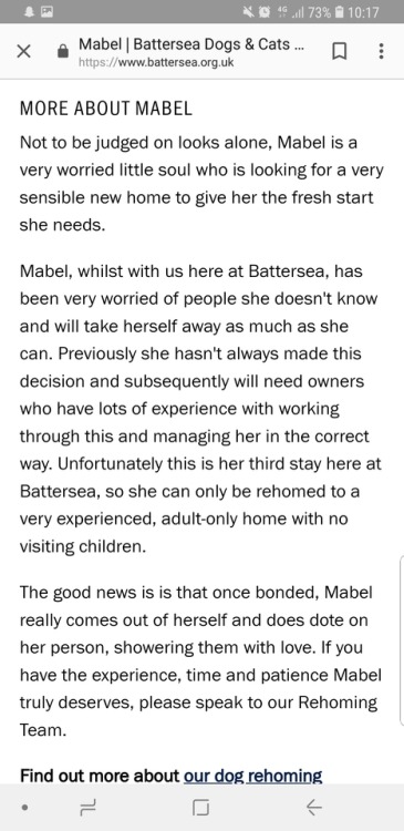 itsagifnotagif - Hey I can’t rehome Mabel but she is such a good...