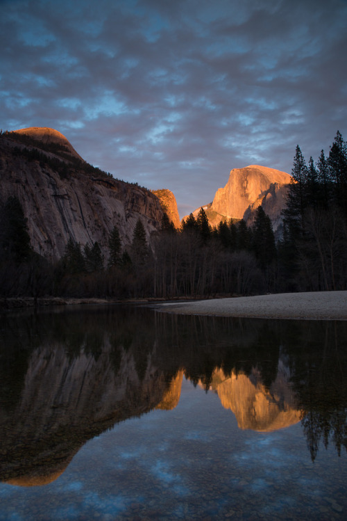 90377 - Half Dome Sunset by Andrea Moore