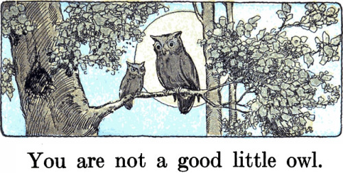 danskjavlarna - Reblog if you are not a good little owl.  From...