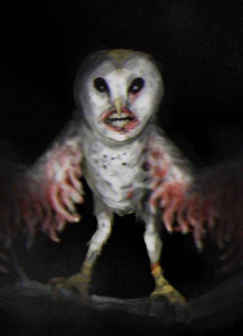 slimyswampghost - just an owl, go back to bed