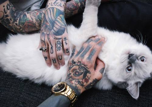 Tattoos & Cats