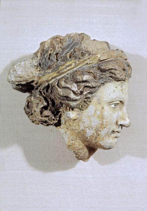 Etruscan. Head of a Woman.