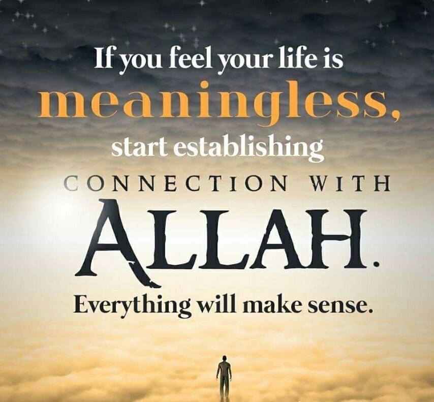 Best Islamic Quotes Resource Online