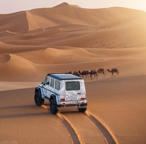 rogue-kuwaiti - Why ride camels when we have G wagons?